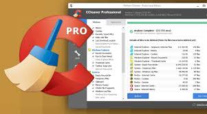 CCleaner Pro 5.60.7307 Crack With Serial Key Free Download 2019