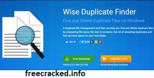 Wise Duplicate Finder Pro 2.0.2.57 Crack